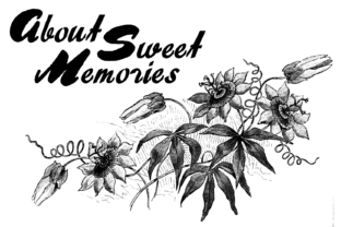 Bring Your Designs to Life with About Sweet Memories Font