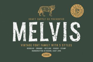 Discover the Versatile Charm of Melvis Family Font