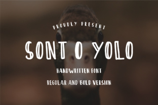 Make Your Campaign Stand Out with Sont O Yolo Font