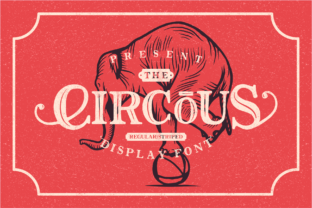 The Circous: A Classic Display Font for Modern Web Design